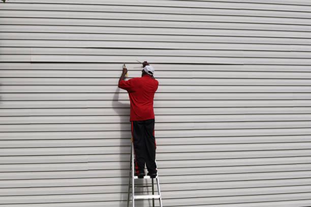 Affordable Siding Repair and Maintenance Services in Clarkton, MO