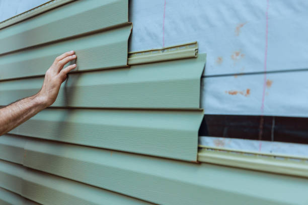 Best Vinyl Siding Installation  in Clarkton, MO