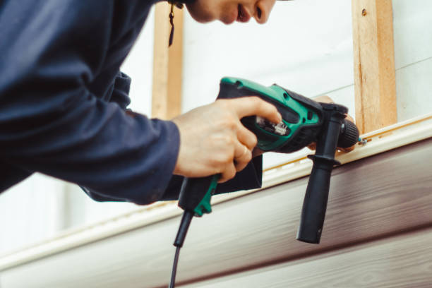 Best Fascia and Soffit Installation  in Clarkton, MO